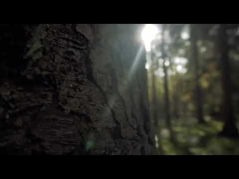 Relax mind technical