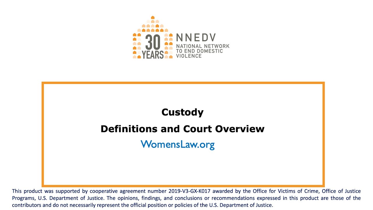 Custody: Definitions and Court Overview - YouTube
