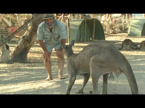 Rob Bredl - Killa-roo