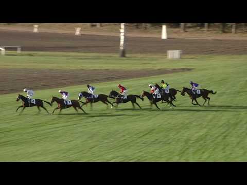 7. dostih - Cena správce dráhy Pardubického závodiště - dostihy Pardubice 26. 10. 2019