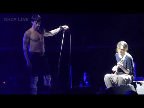 Under The Bridge - A wonderful performance [Multicam]