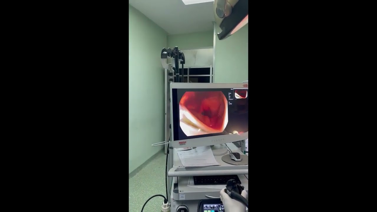 Julián Alexander Zúñiga Segura-8