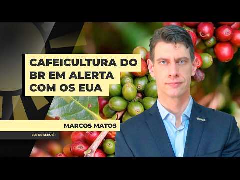 Brazil seeks to secure coffee exemption list from potential new ...