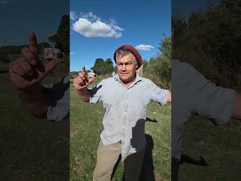 ESTACION LANGUEYU Partido de Ayacucho: su creación y su ocaso