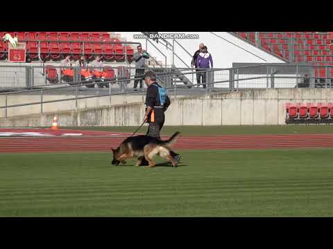 1136 Team Bern Vans - TSB BSZS-2023