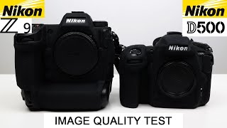 Nikon Z9 (DX) VS Nikon D500 - DSLR vs Mirrorless - Image Quality Test