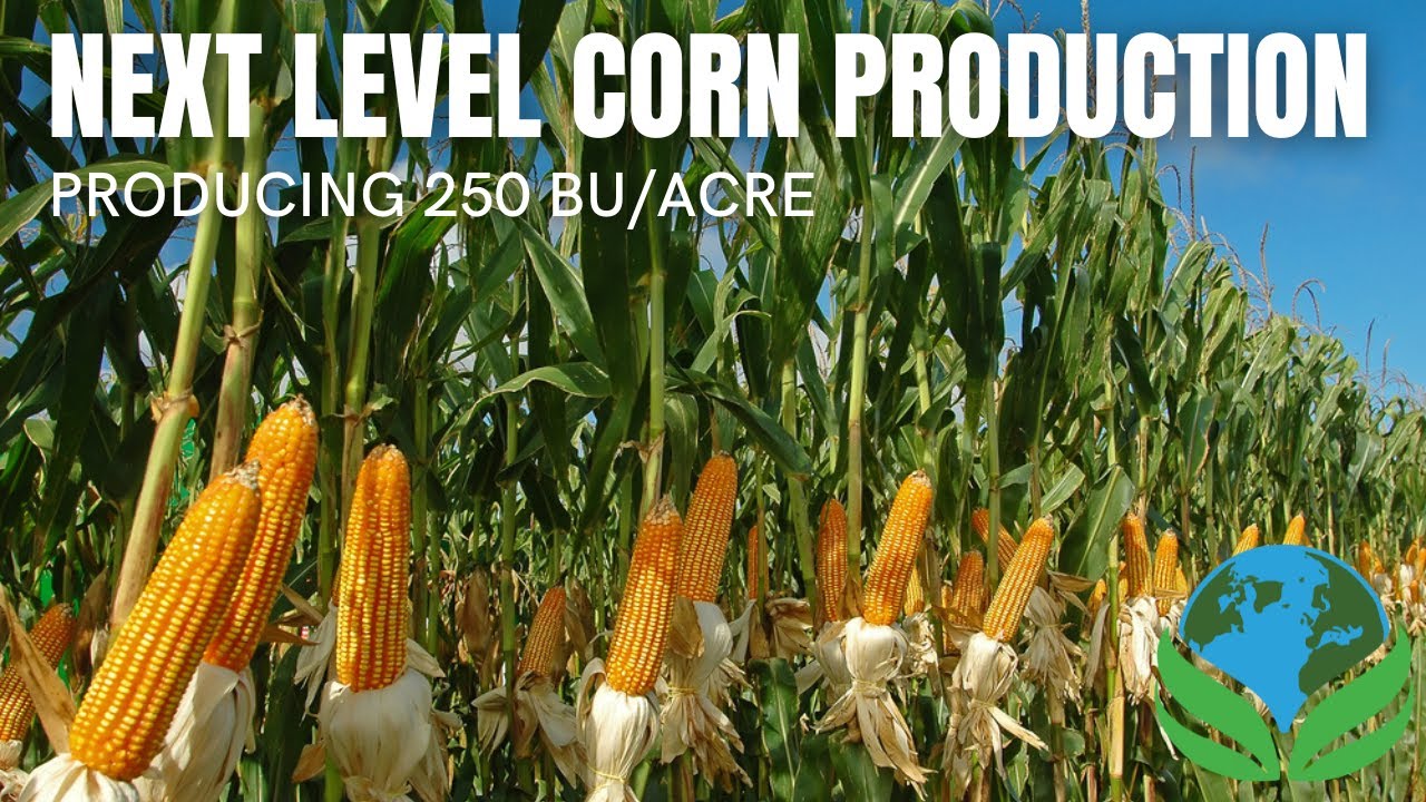 Take your corn production to the next level | Producing 250 bu/acre