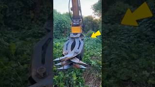 Download lagu Snakes Scared by This Tool? #shorts #viralvideo mp3