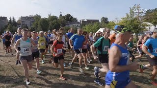 כתבת טלוויזיה על ריצת העיר זייץ - הצצה לאירוע הספורט בפארק הטירה של מוריצבורג זייץ עם דיטמר וויגט.