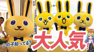 【爆売れ】国民民主党のうさぎが1000万超えで玉木代表より人気！？カッパを奪われた噂と代表選の真相【こくうさ】