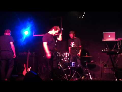 Delfíni - v Rubínu 4.4.2012