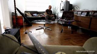 A Guitarra Canhota de Edgard Scandurra