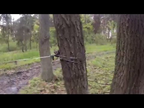 Taka tam pułapka