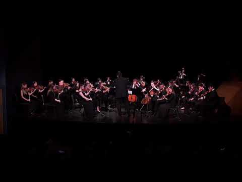 LACHSA 2019 String Ensemble Chamber Concert - String Symphony #5 in Bb Major by F. Mendelssohn