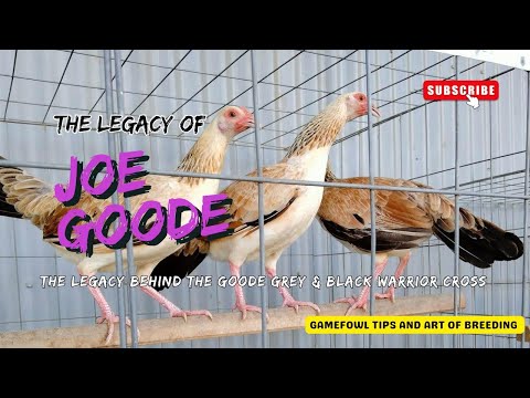 “Joe Goode – The Legacy Behind the Goode Grey & Black Warrior Cross”