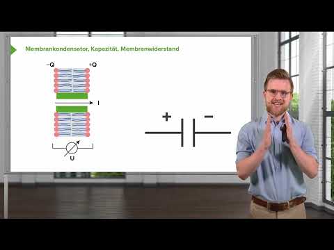 Das Nervensystem und seine Funktionsprinzipien: Passiv-elektrische Eigenschaften von Nervenmembranen