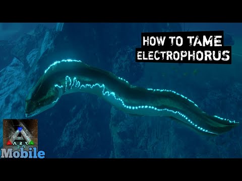 How To Tame Electrophorus ,Ark Mobile[S1:E27]...