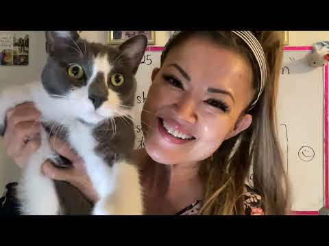 (Find your Name / Lynn 176 )​⁠@SonyYu  My name is LYNN different languages