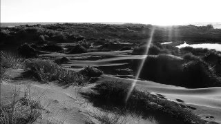 The Stooges | Dirt | 1970