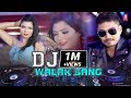 New Tharu Song ll DJ WALAK SANG llDarpan/Muskan/Raj KusmyFt.Naresh/Shusila