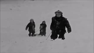 CAPTAIN BEEFHEART -- STEAL SOFTLY THROUGH SNOW