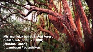 preview picture of video 'Misi memburu bayroute & Red Forest di Bukit Buluh, Jerantut Pahang'