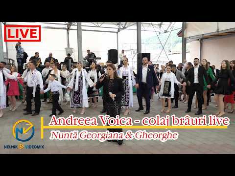 Andreea Voica - Colaj Brauri live- Nunta Georgiana & Gheorghe