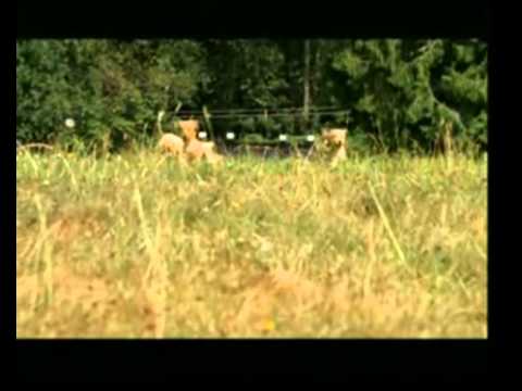 B-Dawg rapping (full version)