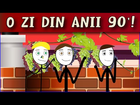 POVESTI DIN COPILARIE: O ZI DIN ANII 90'!