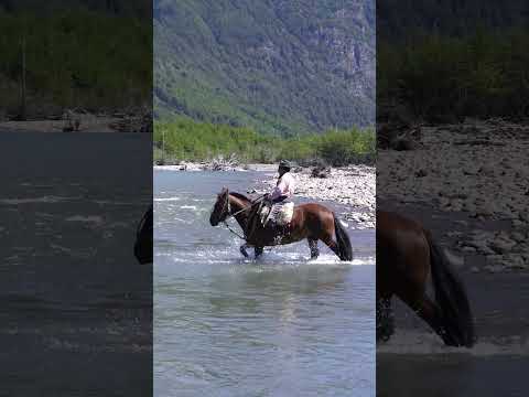 Don Cipriano, rio sin nombre, comuna de Rio Ibañez, región de Aysén #short #shorts