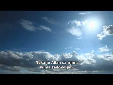 Šejh Muhammed Salih Raslan - O slabiću