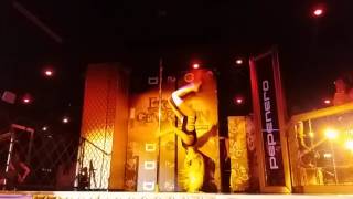 Exotic Generation ITALY 2017 - Mila Feel