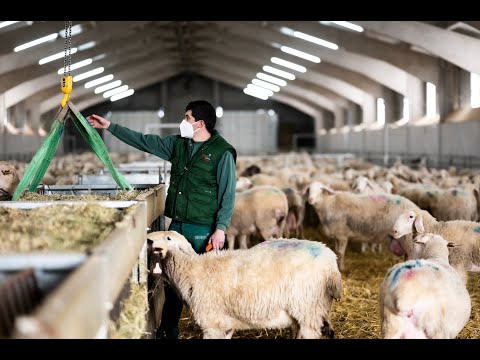 , title : 'Nuestra granja de ovejas de leche y quesería'