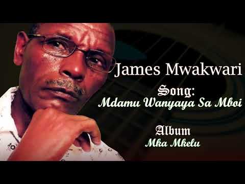 James Mwakwari - Mdamu Wanyaya Sa Mboi (Official Audio)