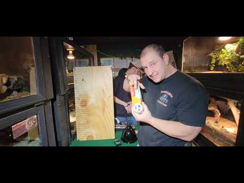 Reptile UVB Bulbs Vs Mercury Vapor Bulbs For Reptiles ( which is better )