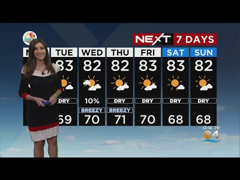 NEXT Weather - Miami + South Florida Forecast - Monday Afternoon 12/5