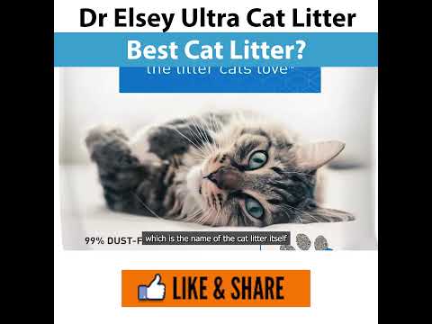 Dr Elsey ultra cat litter - Best Cat Litter?