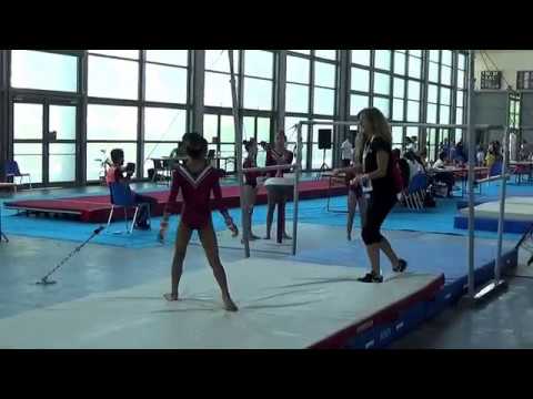 FGI Silver - Christal - 1° div. A3 - Finale Nazionale