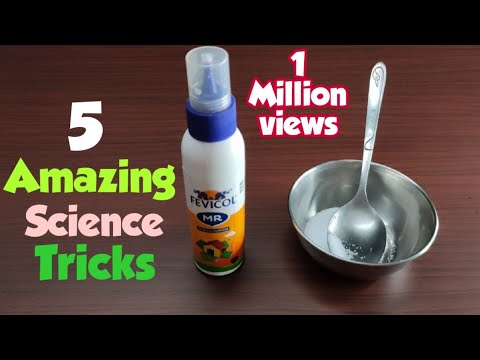 05 Easy Science Experiments To Do At Home | Simple science experiments