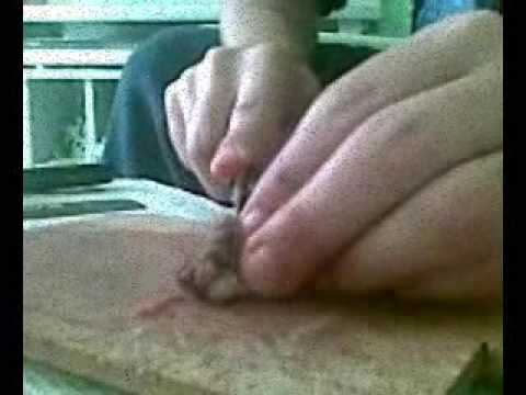 siyah don öğrenim kredisi yapılandırma