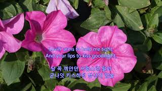 Toselli&#39;s Serenade(Dreams and Memories) - Perry Como || with lyrics (영어가사/한글번역): 토셀리의 세레나데