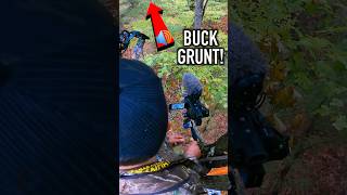 Buck Grunts Back At Me!  #deerhunting #hunting #deer