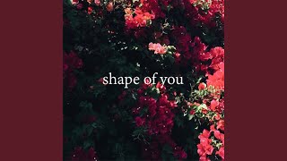 Shape of You