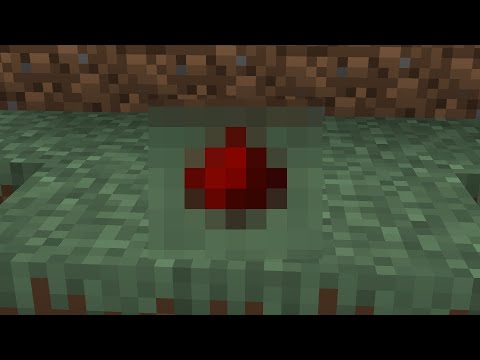 the first minecraft item