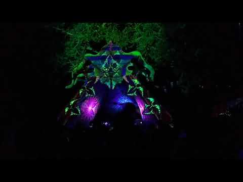 High frequency Darkshire vs makumba