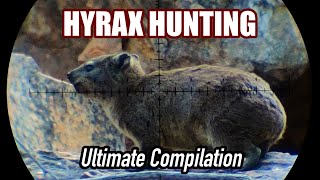 100 of the BEST Hyrax (Dassie) Hunting Shots over the years!