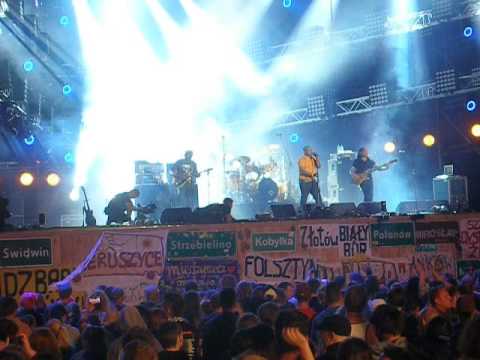 LIVING COLOUR- Przystanek Woodstock 2016.