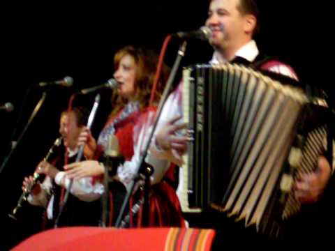 Ans.  Zupan - Če vinček govori Live -part one