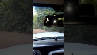 Serra da mantiqueira Sul MG
