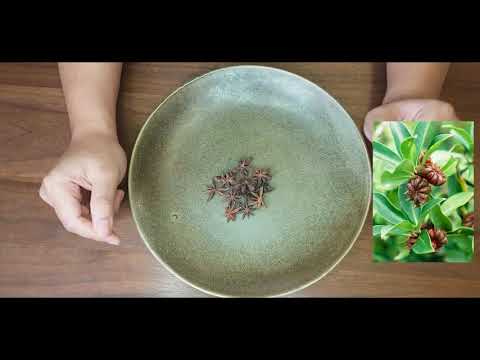 イリシウム・ヴェルム